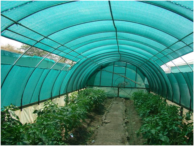 Top Uses of Shade Net in Agriculture: Enhancing Crop Growth and Protection